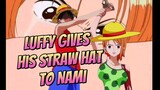 Luffy Gives His Straw Hat To Nami