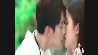 Tóm Tắt Phim | QUÁN BAR MÈO | Review phim hay nhất 2021