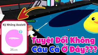 Play Together | Nếu Không Muốn Thất Vọng Thì Bạn Tuyệt Đối Không Đến Đây Để Câu Cá?