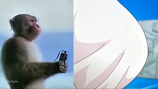 ㅤㅤㅤㅤㅤ