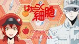 [COVER JAWA] Hataraku Saibou Opening - Mission! Ken-Kou-Dai-Ichi