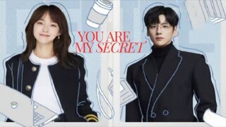 You Are My Secret ep 8 (sub indo)