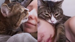 一刻也离不开主人的超黏人小猫咪