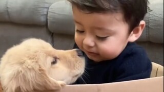 汪：陪你长大是最幸福的事！