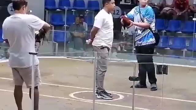 tornelyo Congrats dalawa panalo na unahan man kami pero patay agad sa karate ang kalaban