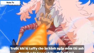 Top 7 Hải Tặc Kết Hợp Haki Với Trái Ác Quỷ _ Lù Gaming #4- 3