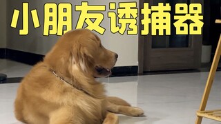 How much do kids love Golden Retrievers? The dog is completely surrounded!