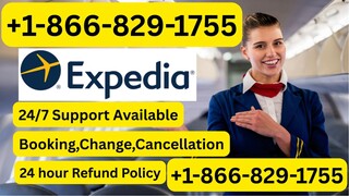OFFICIAL Expedi𝔞®® Customer Service® Contact Numbers In The USA – Full Detailed Guide