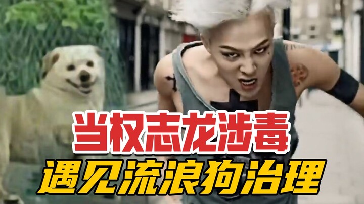 When G-Dragon's involvement in drug trafficking meets stray dog management