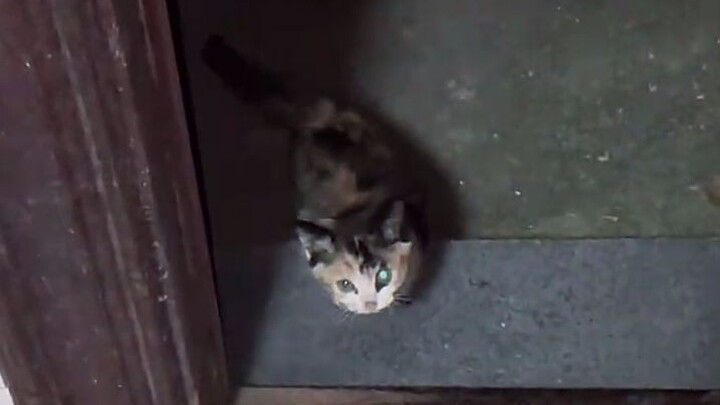 انتهى، تعلّق بي!