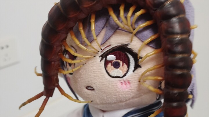 เถื่อนม่อหลิง: ที่เจ็บไม่ใช่ฉัน แต่เป็นโลกใบนี้ต่างหาก