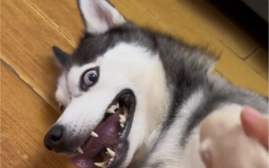 Rou Rou: Don’t pull this stunt!