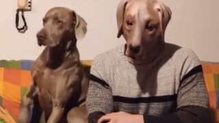 You can tell both sides are feeling quite awkward.