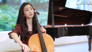 [Music] "Maple Leaf" - Jay Chou | Cello Cover