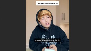 عندما سمع الأجانب أن اللغة الصينية بها الكثير من ألقاب الأقارب