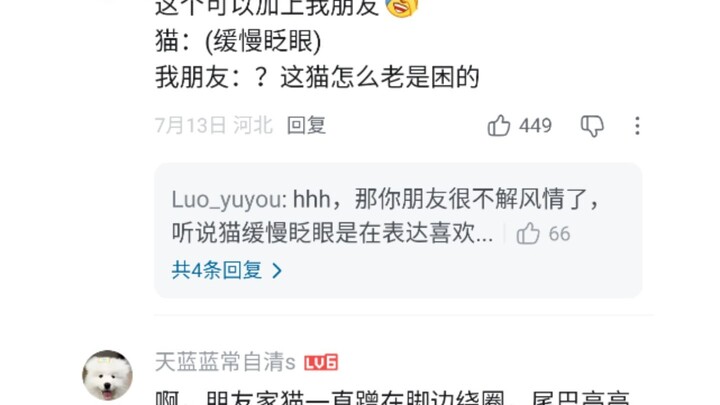 Kucing: Memandang dengan mata menggoda ke arah si buta.