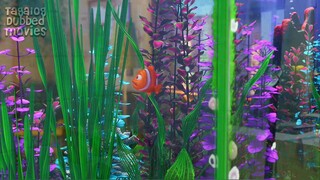 Finding_Nemo__2003__-_Nemo_Meets_The_Tank_Gang_Tagalog_Filipino_Dubbed(0)
