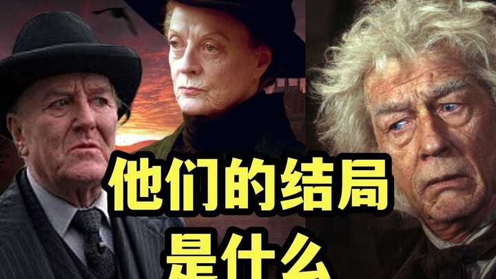 What became of these characters after the Harry Potter story ended? Harry Potter Episode 28