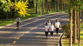 "Sore yang biasa meletakkan dasar bagi trans yang terjadi bertahun-tahun kemudian~"