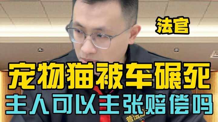 Mèo cưng bị xe cán chết, chủ nhân có thể yêu cầu chủ xe bồi thường không?