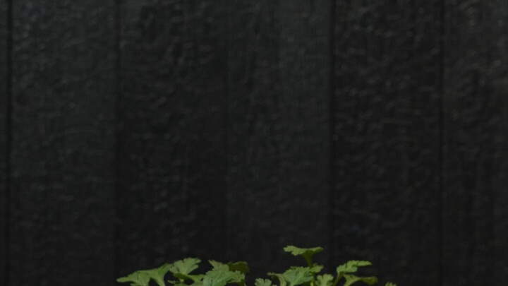 I’m so sorry! I forgot to serve you guys your meal—hurry up and eat more!