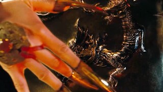 男孩意外获得龙戒，从此走上人生巅峰