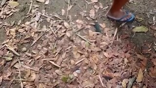 # Lightning PaaduLL 1o