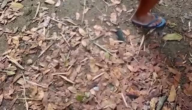 # Lightning PaaduLL 1o