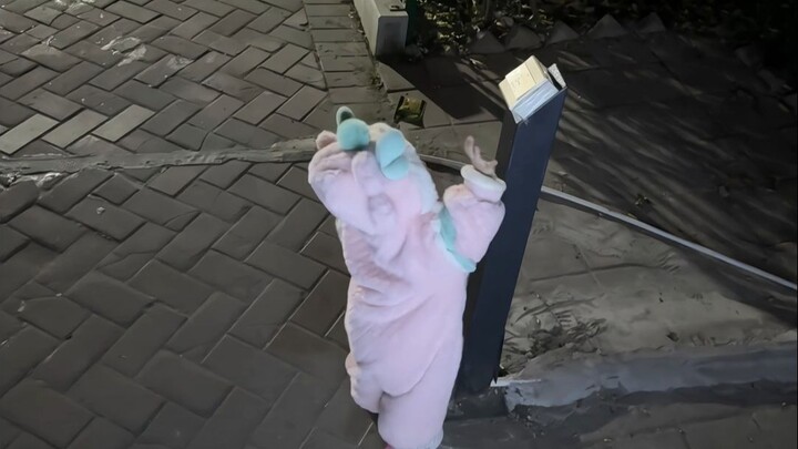 الطفل البالغ من العمر ستة عشر شهرًا يستطيع بالفعل مساعدة والدته في فتح بوابة المبنى!