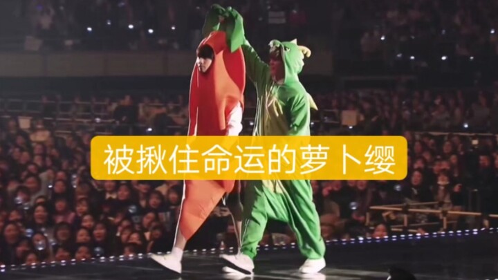 【BTS】Peragaan busana si Wortel Kecil dan enam kakak hewan