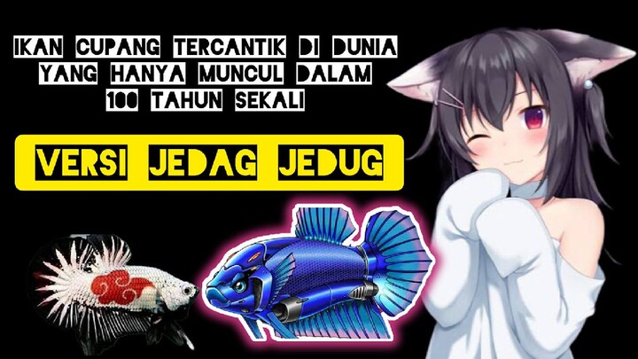 Ikan cupang limited edition