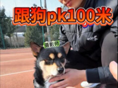 Apa! Lomba lari 100 meter antara pelatih dan anjing!