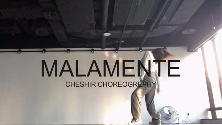 lisa的《MALAMENTE》Cheshir choreo，阳光明媚的自拍练习