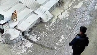 你看，我咬你，你又跑