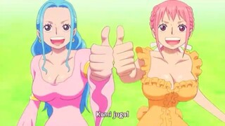 One piece episode 884 Pertemuan aliansi luffy di reverie