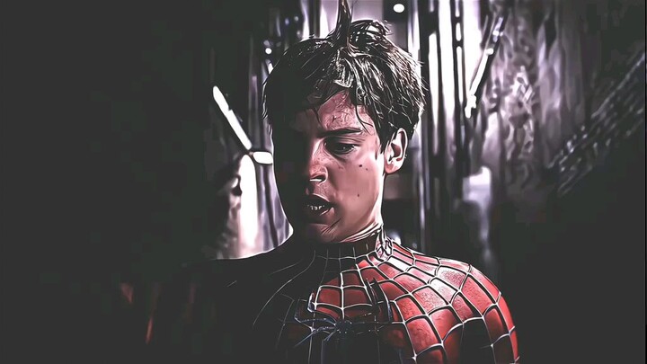 🕷🕸