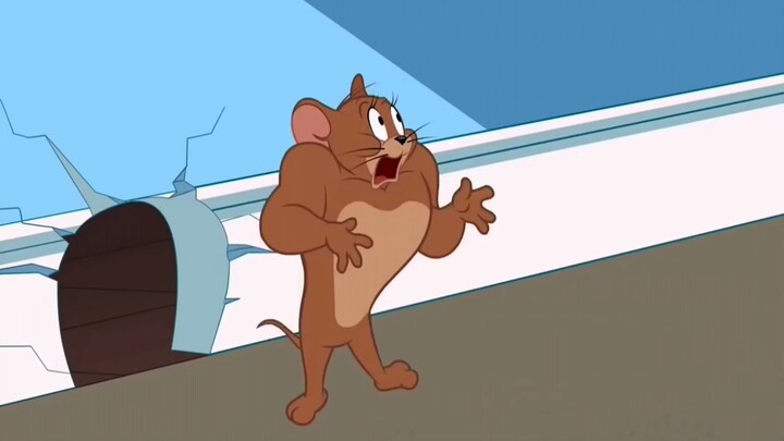 Ai bảo mèo và chuột không có những khoảnh khắc bùng nổ? Bản phối cực cháy của mèo và chuột – cứ đã p