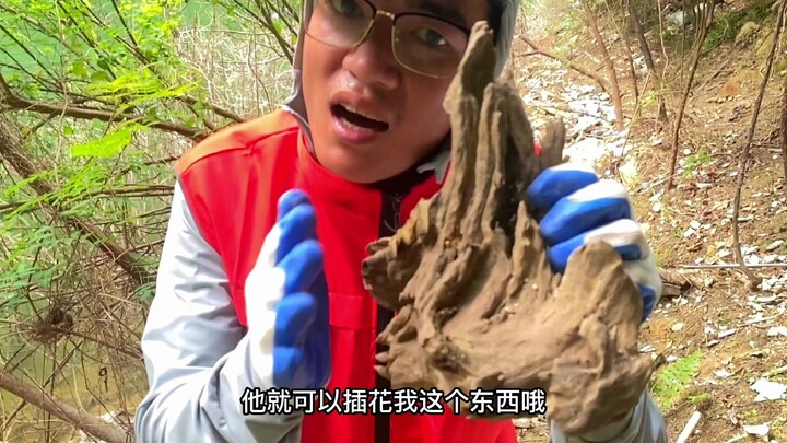今天我把时间交给了大自然