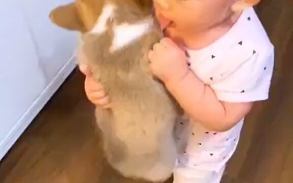 Little kid takes the puppy out; both sets of parents are really worried.