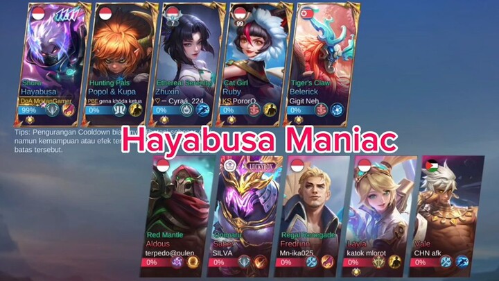 hayabusagameplay maniac