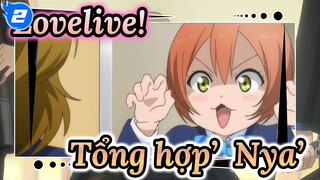 Nya~ Nya~ Nya! Lovelive - Tổng hợp Hoshizora 'nya'_2