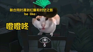 当你联合狩猎同时遇到时空之影和红蝶时