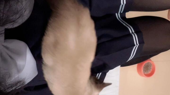 Boss Ni Zhenhao is really awesome, but you’re not allowed to play with my tail, meow.