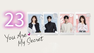 You Are My Secret ep 23 (sub indo)