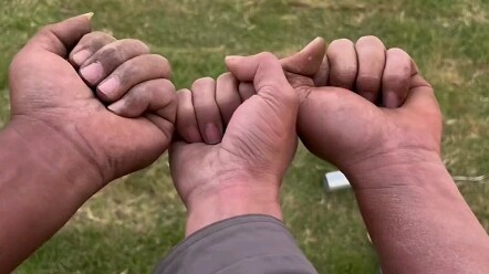 On a whim, I drew up a 1500-square-meter blueprint for a stray cat shelter—and then, on a hot impuls