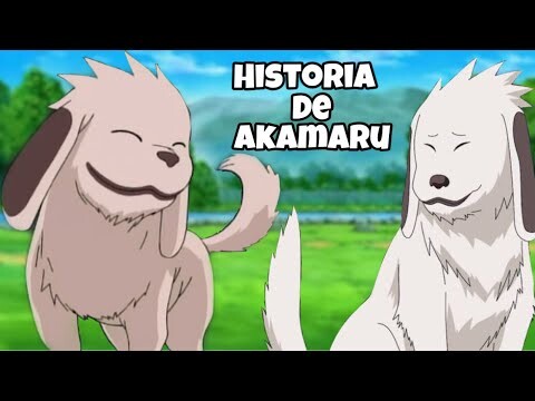 Naruto : La Historia de Akamaru | Boruto : La vida de Akamaru