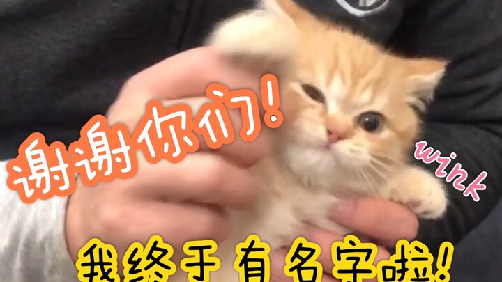 น้องส้มไม่ลังเลเลยเลือกชื่อที่ชาวเน็ตตั้งให้ ส่วนเจ้าของก็บอกว่าพอใจมากเช่นกัน