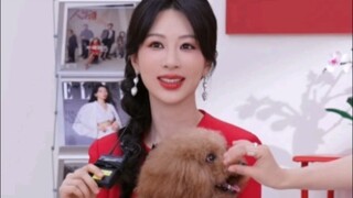 piupiu又来陪杨紫做客直播间啦❤透露piupiu和“初恋”的悲惨故事