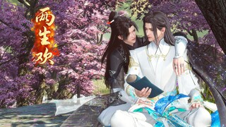 第十一集、从今日起，你自由了