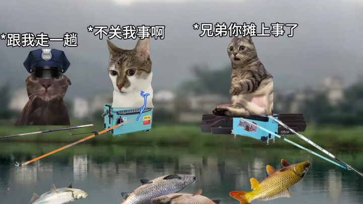 ฉันไม่มีปลาไฟฟ้า ไม่ใช่เรื่องของฉัน